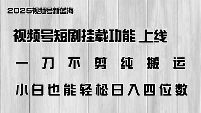 视频号短剧挂载功能上线，一刀不剪纯搬运，小白也能轻松日入四位数-项目网