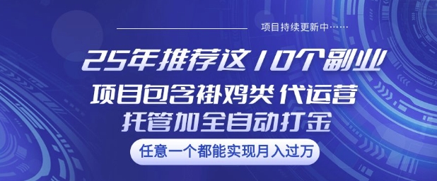 25年推荐这10个副业项目包含褂鸡类、代运营托管类、全自动打金类【揭秘】-项目网