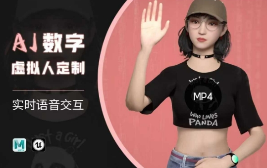 Ai数字人虚拟(智能体)实时语音交互特训营，​自行定制超写实角色AI数字人交互技术-项目网