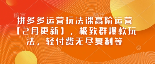 拼多多运营玩法课高阶运营【2月更新】，极致群爆款玩法，轻付费无尽复制等-项目网