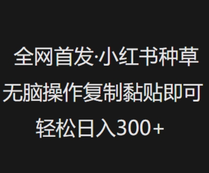 全网首发，小红书种草无脑操作，复制黏贴即可，轻松日入3张-项目网