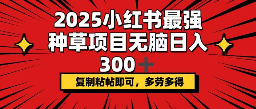 2025小红书最强种草项目，无脑日入300+，复制粘帖即可，多劳多得-项目网