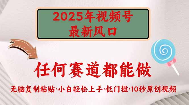 2025年视频号新风口，低门槛只需要无脑执行-项目网