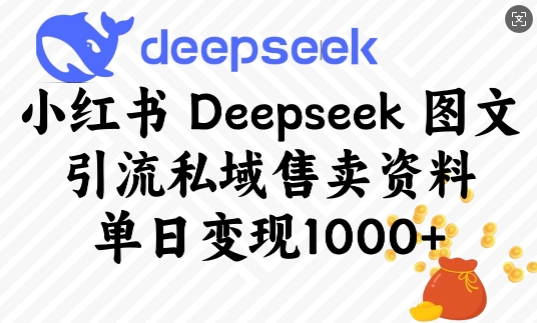 小红书Deepseek图文引流私域售卖资料，单日变现多张-项目网