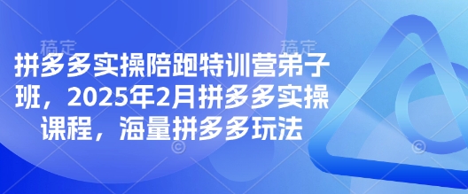 拼多多实操陪跑特训营弟子班，2025年2月拼多多实操课程，海量拼多多玩法-项目网