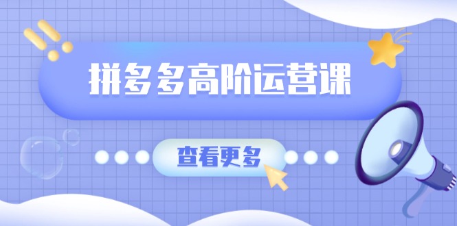 拼多多高阶运营课：极致群爆款玩法，轻付费无尽复制，打造单品爆款之路-项目网