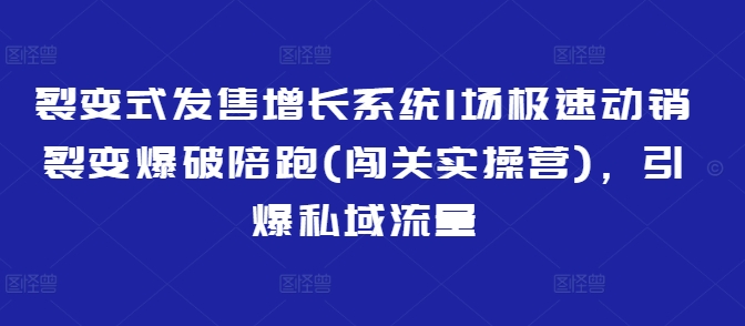 裂变式发售增长系统1场极速动销裂变爆破陪跑(闯关实操营)，引爆私域流量-项目网