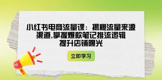 小红书电商流量课：揭秘流量来源渠道,掌握爆款笔记推流逻辑,提升店铺曝光-项目网