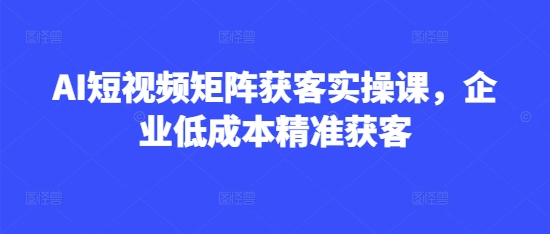 AI短视频矩阵获客实操课，企业低成本精准获客-项目网