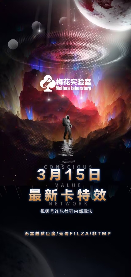 梅花实验室视频号连怼玩法-3月15日最新卡特效技术(无需越狱、巨魔、tmp)-项目网