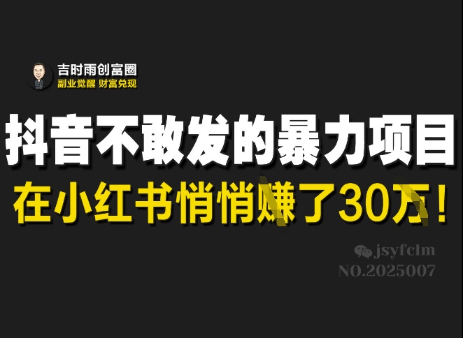 抖音不敢发的暴利项目，在小红书悄悄挣了30W-项目网