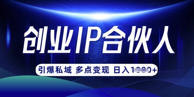 云帆·创业ip合伙人打造3.0，从0到1教你做网创，实现月入过W-项目网