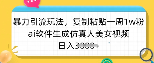 暴力引流玩法，复制粘贴一周1w粉，ai软件生成仿真人美女视频，日入多张-项目网