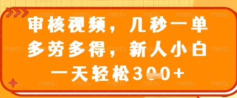 审核视频，几秒一单，多劳多得，新人小白一天轻松3张【揭秘】-项目网
