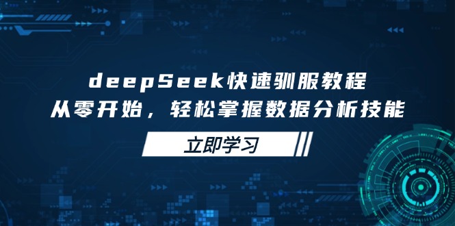 deepSeek快速驯服教程，从零开始，轻松掌握数据分析技能-项目网