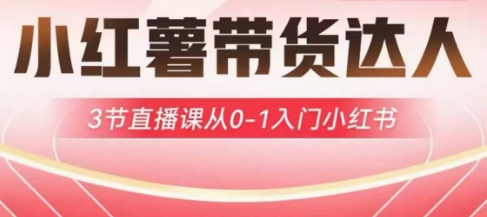 小红薯达人带货启航计划，3节直播课从0-1入门小红书-项目网