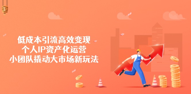 低成本引流高效变现，个人IP资产化运营，小团队撬动大市场新玩法-项目网