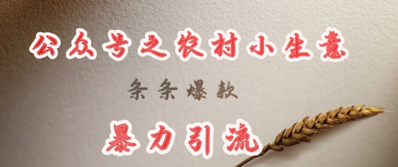 deepseek写农村小项目，条条爆款，暴力引流-项目网