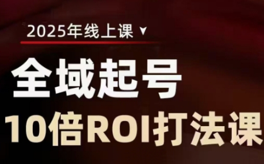 2025全域起号10倍ROI打法课，助你提升直播间的投资回报率-项目网