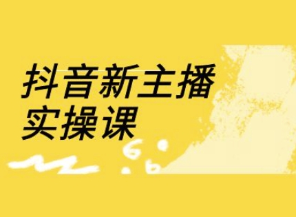抖音新主播实操课，直播间流量运营线上实操课(18节)-项目网