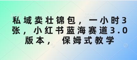 私域卖壮锦包，一小时3张，小红书蓝海赛道3.0版本， 保姆式教学-项目网