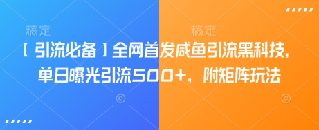 【引流必备】全网首发咸鱼引流黑科技，单日曝光引流500+，附矩阵玩法【揭秘】-项目网