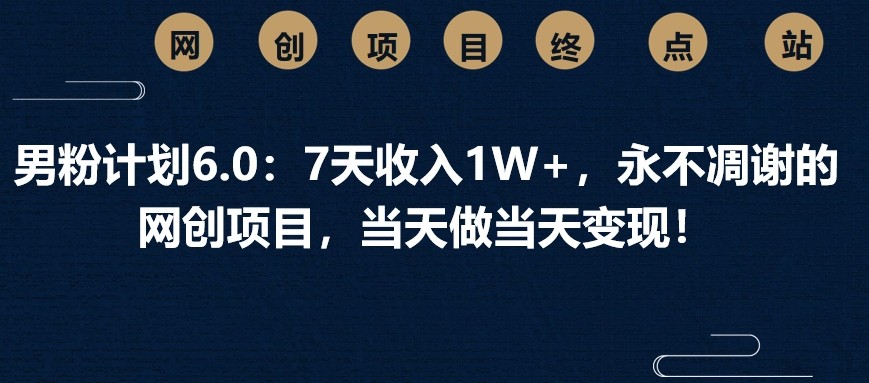 男粉计划6.0：7天收入1W+，永不凋谢的网创项目，当天做当天变现！-项目网
