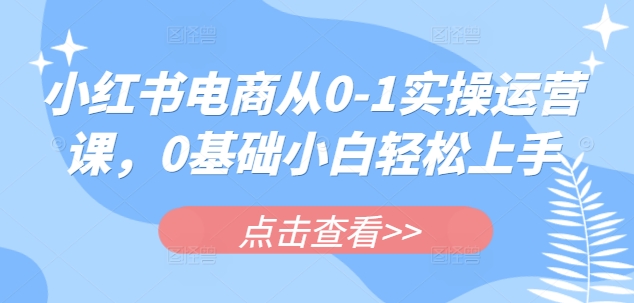 小红书电商从0-1实操运营课，0基础小白轻松上手-项目网