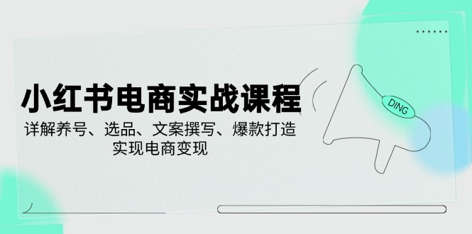 小红书电商实战课程，详解养号、选品、文案撰写、爆款打造，实现电商变现-项目网