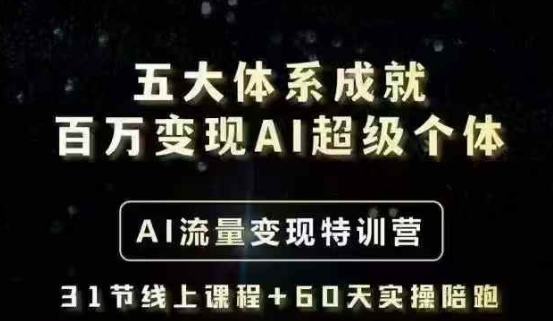 五大体系成就百万变现AI超级个体- AI流量变现特训营，一步一步教你一个人怎么年入百W-项目网