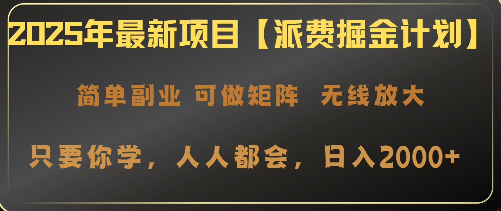 2025年最新项目【派费掘金计划】操作简单，日入2000+-项目网