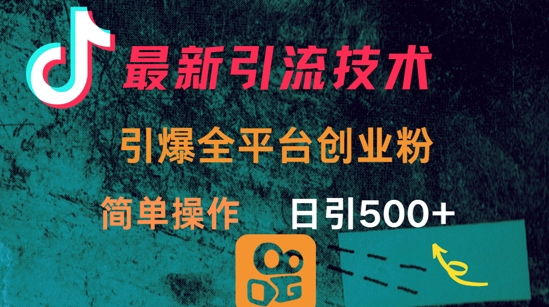 最新引流方法，引爆全平台的一个创业粉，简单操作日引300+-项目网