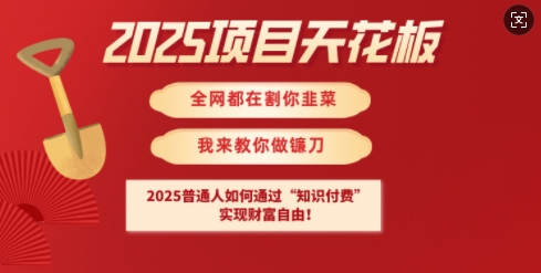 2025项目天花板普通人如何通过知识付费，实现财F自由【揭秘】-项目网