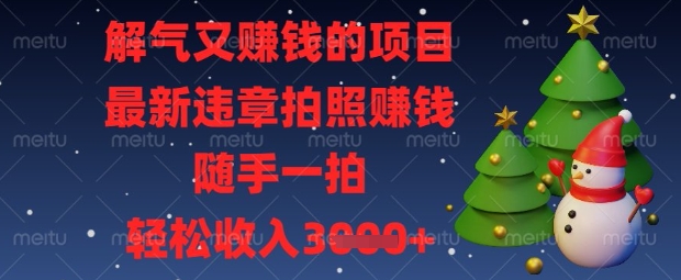 解气又挣钱的项目，最新违章拍照挣钱，随手一拍，轻松收入数张【揭秘】-项目网
