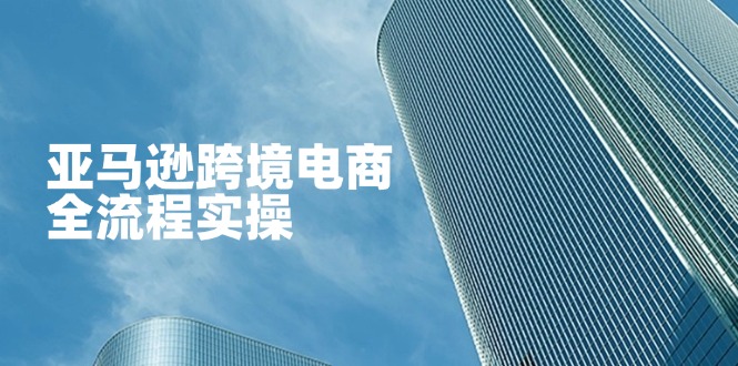 亚马逊跨境电商全流程实操，教你从零开始，掌握店铺运营与广告技巧-项目网