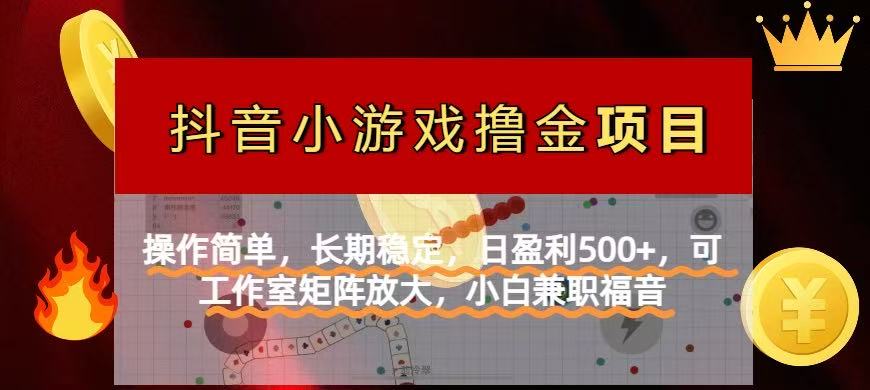 【抖音小游戏发行人计划项目】操作简单，长期稳定，日盈利500+，可工作…-项目网
