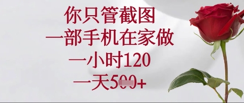 你只管截图，一部手机在家操作，一小时120.一天5张【揭秘】-项目网
