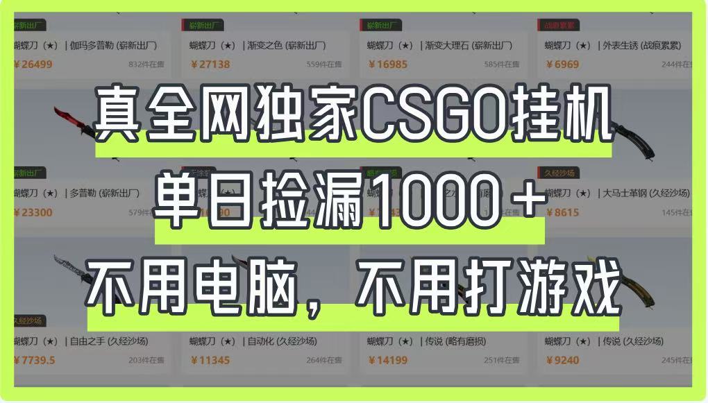 真全网独家CSGO挂机，单日捡漏1000+，不用电脑，不用养号-项目网