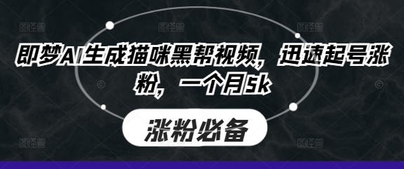 即梦AI生成猫咪黑帮视频，迅速起号涨粉，一个月5k-项目网