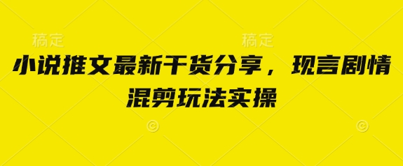 小说推文最新干货分享，现言剧情混剪玩法实操-项目网