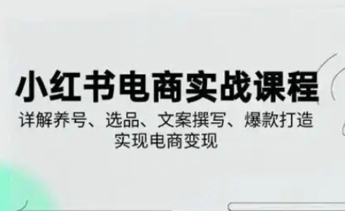 小红书从0-1实操课(2023-2025)，详解养号、选品、文案撰写、爆款打造实现电商变现-项目网