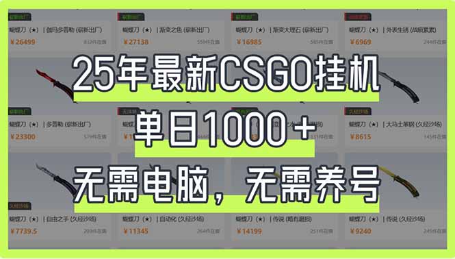 25年最新CSGO挂机系统，单日1000+，无需电脑，无需养号，0基础可上手-项目网