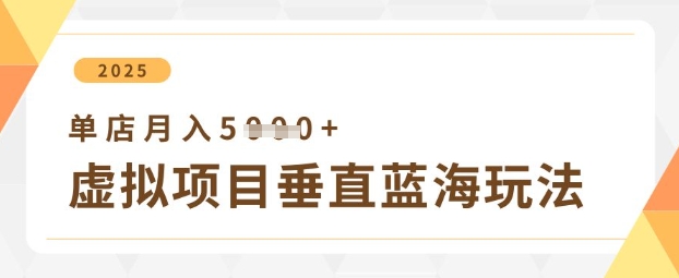 虚拟项目垂直玩法，实现单店月入5k+-项目网