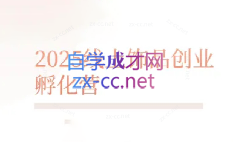 舒老师·珠宝创业实战指南-项目网