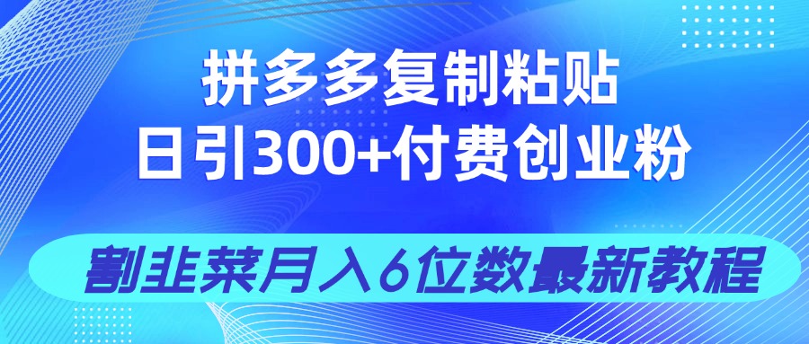 拼多多复制粘贴日引300+付费创业粉，割韭菜月入6位数最新教程！-项目网