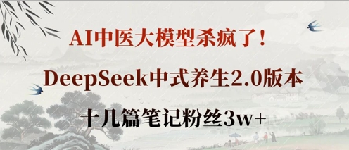 AI中医大模型杀疯了！DeepSeek中式养生2.0版本，十几篇笔记粉丝3w+-项目网
