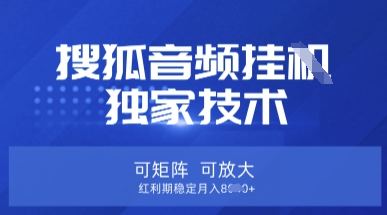 【搜狐音频挂G】独家技术，可矩阵可放大，红利期稳定月入8k【揭秘】-项目网