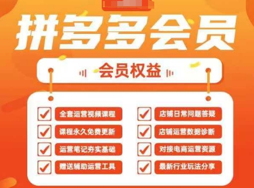 2025拼多多运营实战课，40节全流程教学，覆盖拼多多运营全链路-项目网