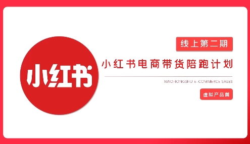 2025小红书虚拟电商实战课-项目网