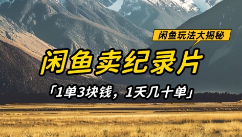闲鱼卖纪录片1单3块钱，1天几十单，项目稳定有潜力-项目网